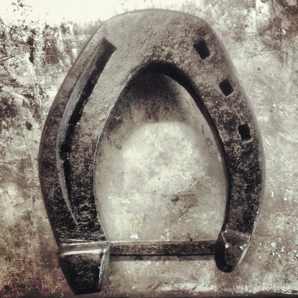 Lucky Horseshoe Belt Buckle